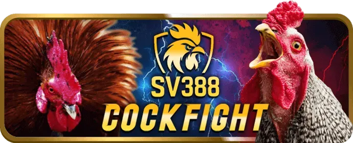 Người chơi ăn mừng chiến thắng jackpot lớn
